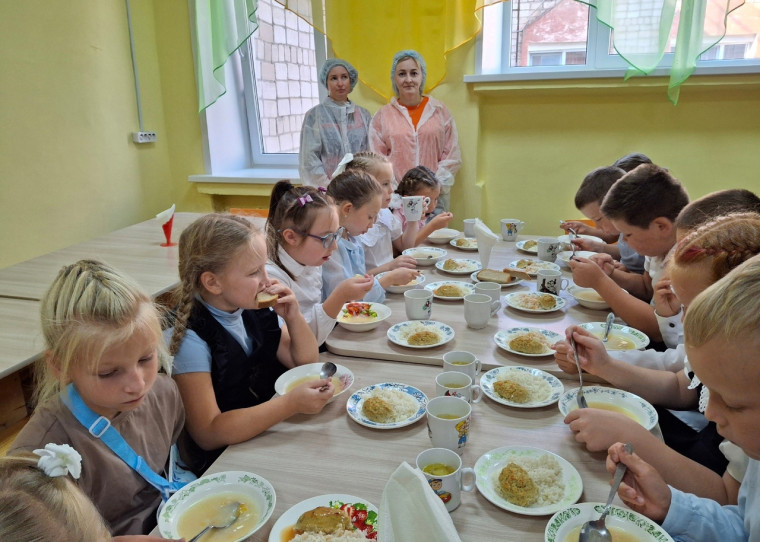Родительский контроль за питанием..